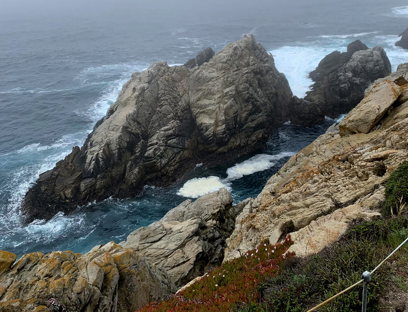 Photo of Point Lobos State Natural Reserve, foggy day on Cypress Grove trail. Photo credit: Donita Grace.