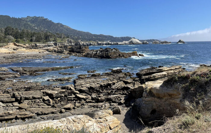 Photo of Point Lobos State Natural Reserve low-tide on Weston Beach. Photo credit: Maureen Mason.
