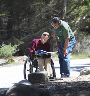 se permiten perros en point lobos