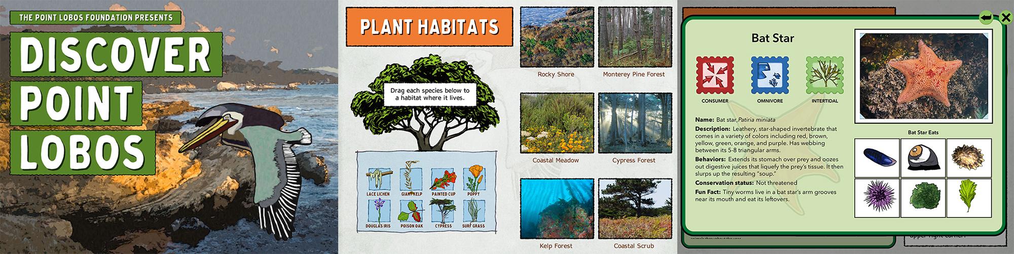 Discover Point Lobos App graphic