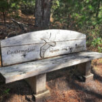 Photo of Point Lobos State Natural Reserve, reflective bench on South Plateau trail. Photo credit: Janet Beaty.