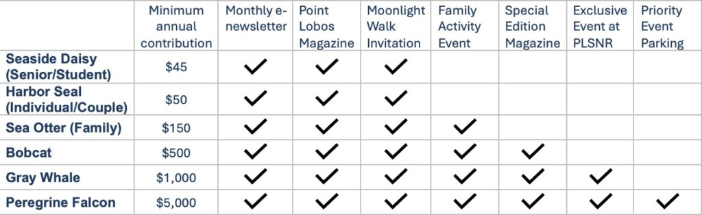 table illustrating member benefits