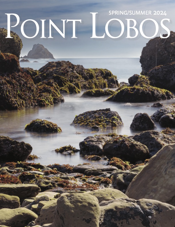 cover depicting rocky shoreline at Point Lobos